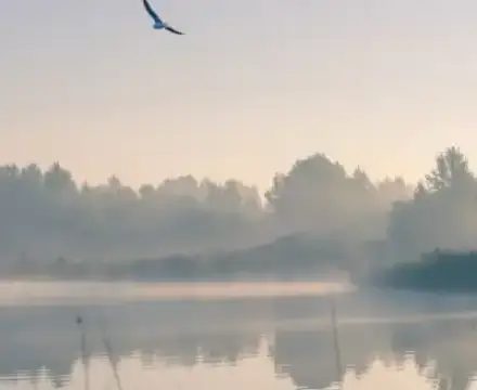 Foto von ABENDSTERN Trauerreden