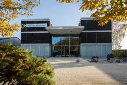 Foto von Ahorn Gruppe