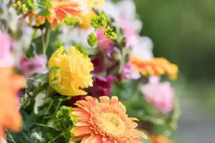 Foto von Albert Sauter Bestattungen GmbH & Co. KG