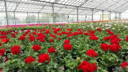 Foto von Alslebener Saaletal e.G.