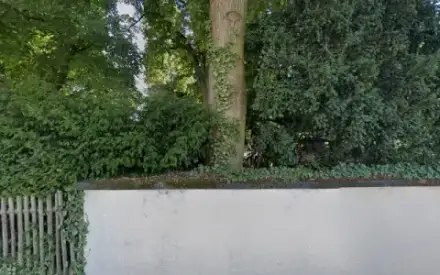 Foto von Alter Friedhof Metternich