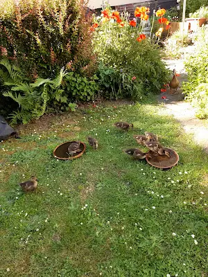 Foto von Alter Stadtteilfriedhof Badenstedt
