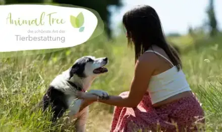 Foto von Animal Tree Tierbestattung - Tierkrematorium Erolzheim