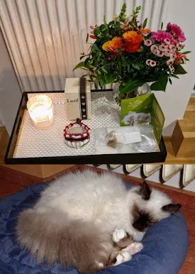 Foto von ANUBIS-Tierbestattungen Himmelkron