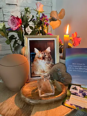 Foto von ANUBIS-Tierbestattungen Magdeburg