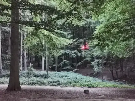 Foto von Arboleum Julianenruh