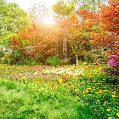 Foto von Aurelia Bestattungen