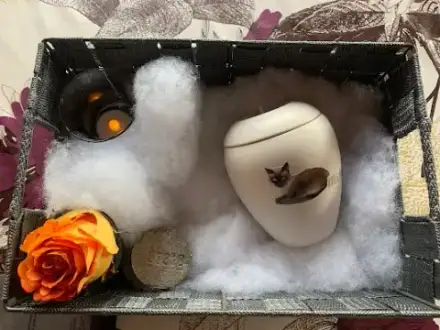 Foto von Baumhauer Tierbestattungen