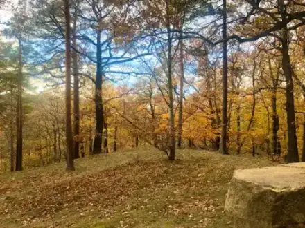 Foto von Begräbnisforst Thale