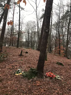 Foto von Begräbniswald