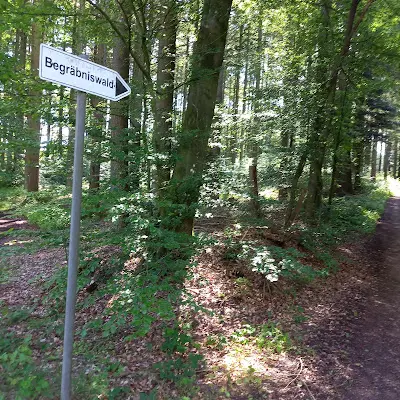 Foto von Begraebniswald Niederweiler