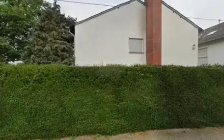 Foto von Bernd Hollmann