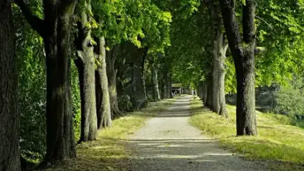 Foto von BERTHOLD Bestattungen