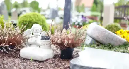 Foto von Bestattung Husemann & Sohn Inh. Rolf Husemann Versmold