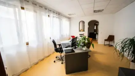 Foto von Bestattungen Baar | Feuerbestattung - Baumbestattung - Erdbestattung