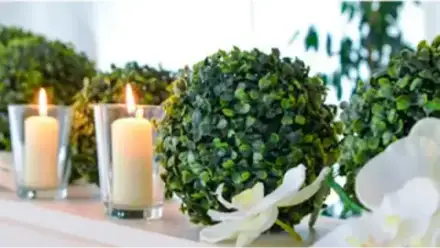 Foto von Bestattungen Cornelia Pfister