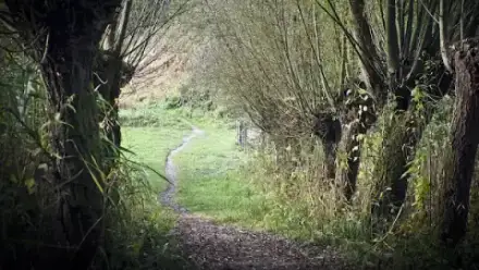 Foto von Bestattungen Dirscherl