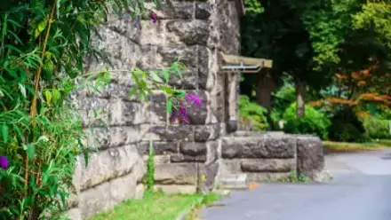 Foto von Bestattungen Dorndorf