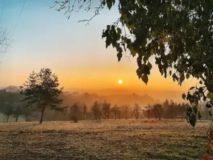 Foto von Bestattungen Duhm GmbH