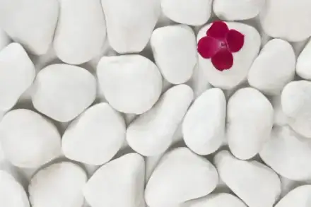 Foto von Bestattungen Gredler GmbH