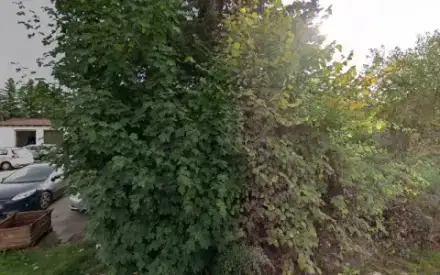 Foto von Bestattungen Grimm, Inh. Marco Wunder | Wallerstein