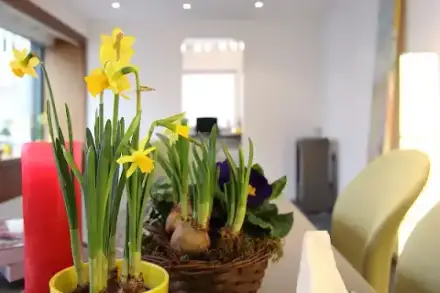 Foto von Bestattungen Häfner u. Züfle