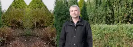 Foto von bestattungen hermann