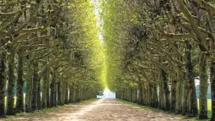 Foto von Bestattungen Holsträter