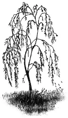 Foto von Bestattungen Küllmann Inh. Udo Wagenknecht