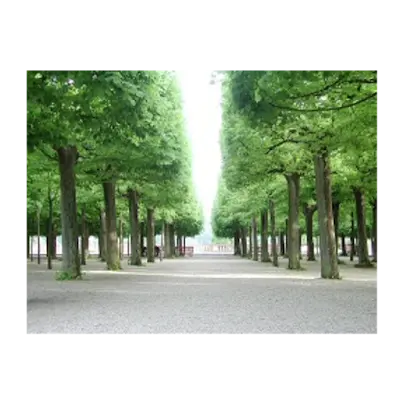 Foto von Bestattungen Martina Klotz