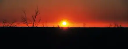 Foto von Bestattungen Mauch