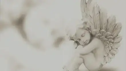 Foto von Bestattungen Raack Inh. Babett Raack-Rösler