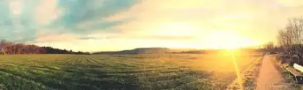 Foto von Bestattungen Radermacher e.K.