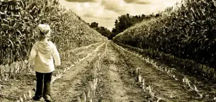 Foto von Bestattungen Schmauder