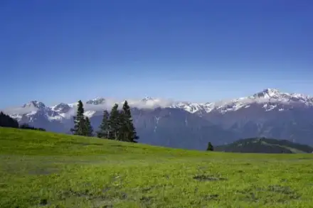 Foto von Bestattungen Schwab, Inh. René Schwab