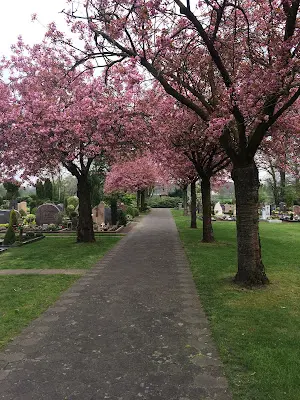 Foto von Bestattungen Schwarzenberg