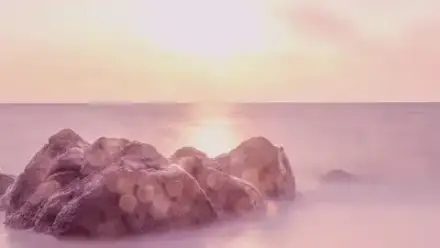 Foto von Bestattungen VETTER GmbH