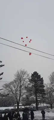 Foto von Bestattungen Vogel