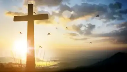 Foto von Bestattungen WERNER