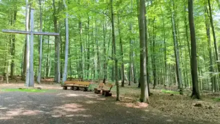 Foto von Bestattungshain