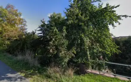 Foto von Bestattungshaus An der Finne GbR