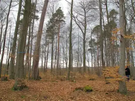 Foto von Bestattungshaus Eckartsberga