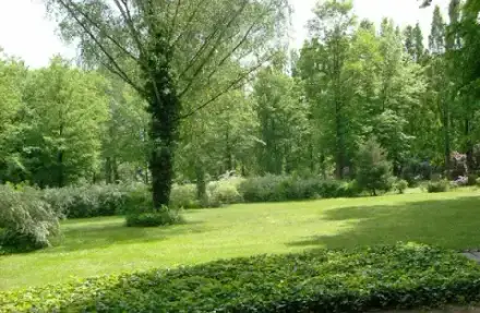 Foto von Bestattungshaus Ellrich