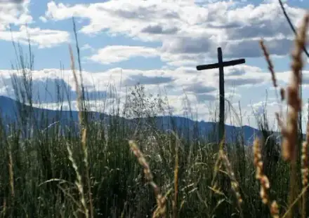 Foto von Bestattungshaus Eulitz Inh. Ilona Eulitz