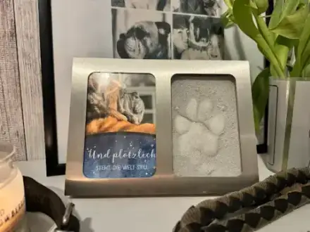 Foto von Bestattungshaus Gustus