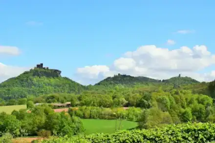 Foto von Bestattungshaus Kühlmeyer