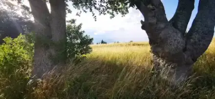 Foto von Bestattungshaus Lütticke e.K.