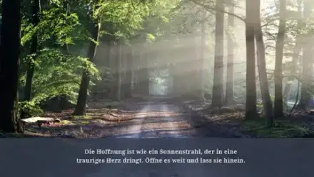 Foto von Bestattungshaus Nöbel