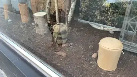 Foto von Bestattungshaus Palm - Hoppe