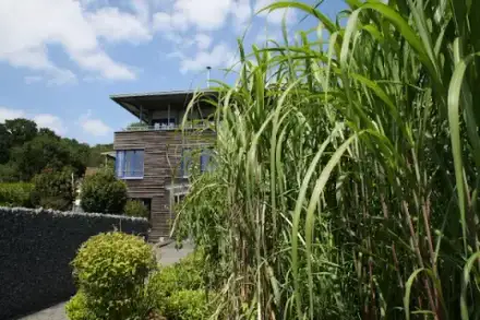 Foto von Bestattungshaus Schlage